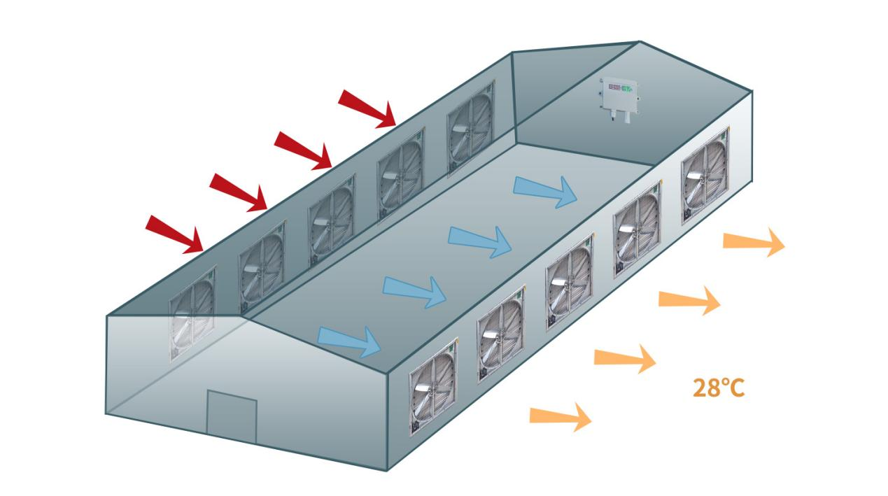 禽畜養殖智能場 禽畜養殖智能場