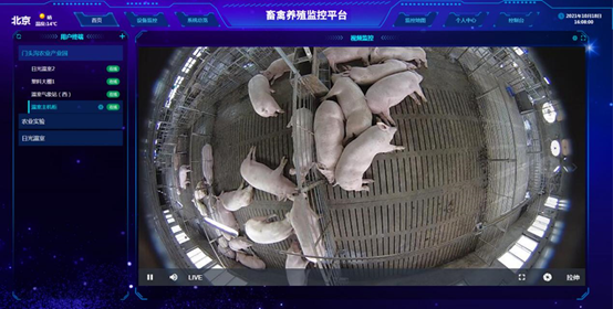 智慧禽畜養殖系統云平臺 智慧禽畜養殖系統云平臺