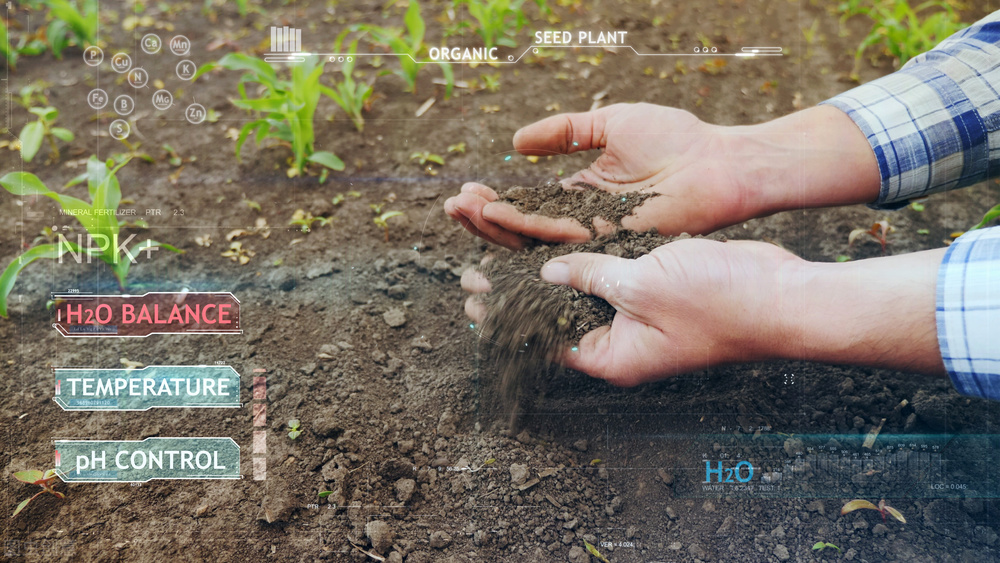 溫濕度傳感器 溫濕度傳感器