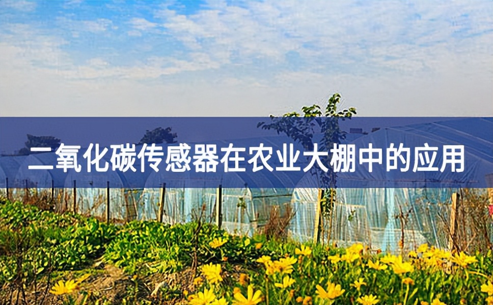 二氧化碳傳感器在農業大棚的應用