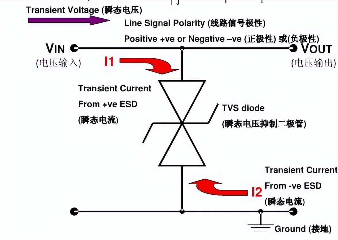 瞬態抑制二極管原理圖