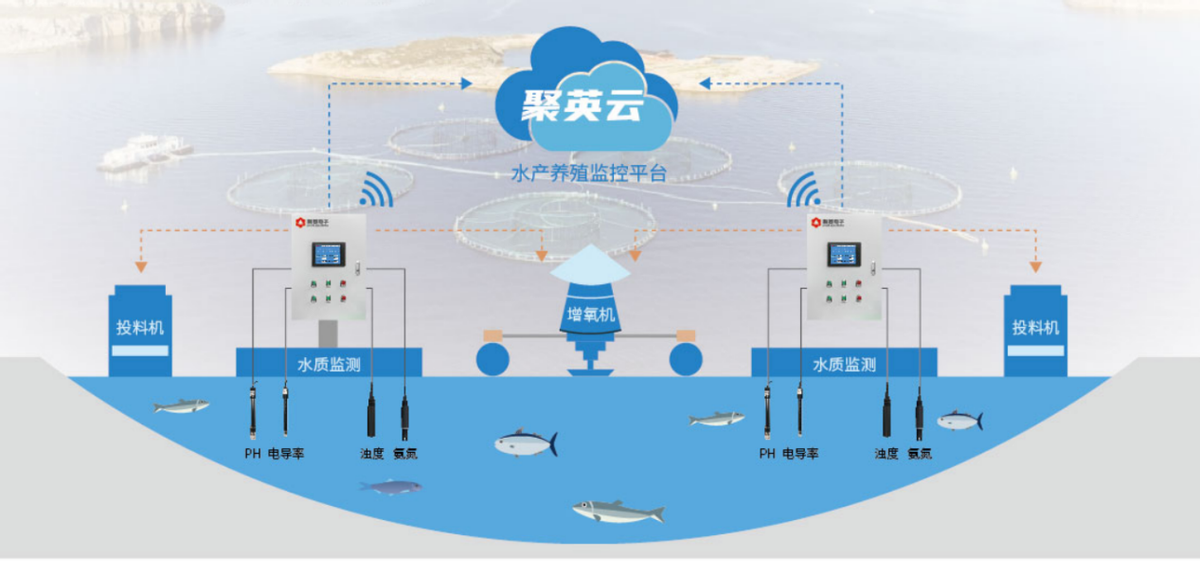 聚英云水產養殖 聚英云水產養殖