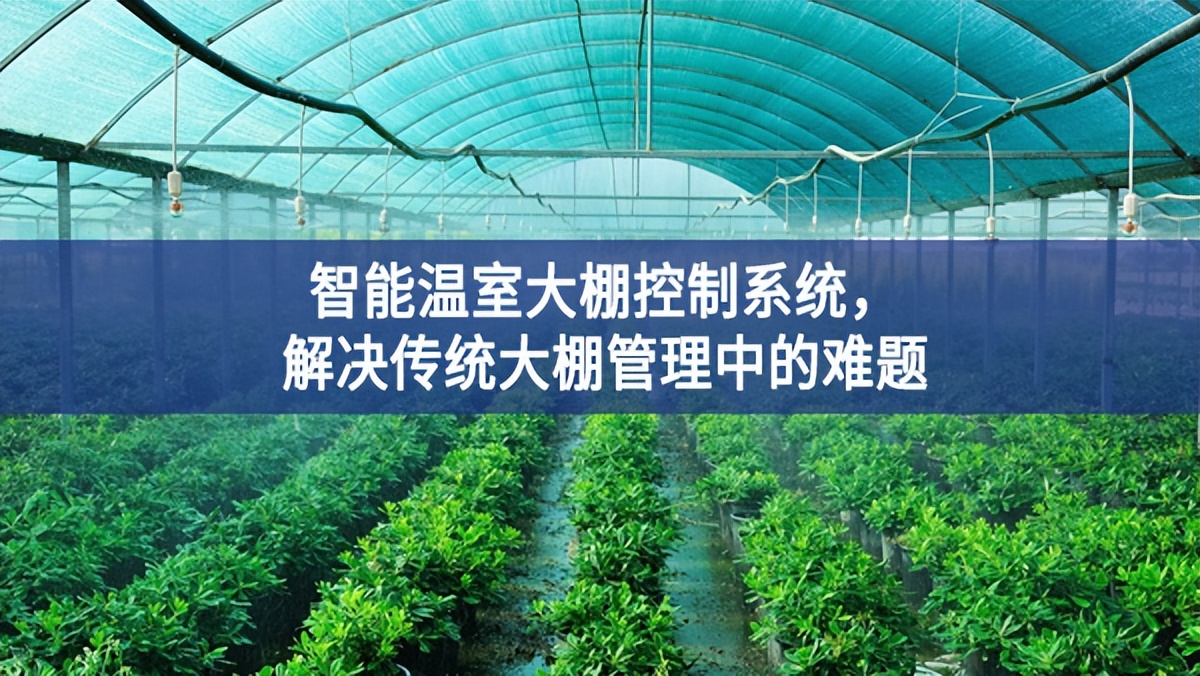 智能溫室大棚控制系統，解決傳統大棚管理中的難題