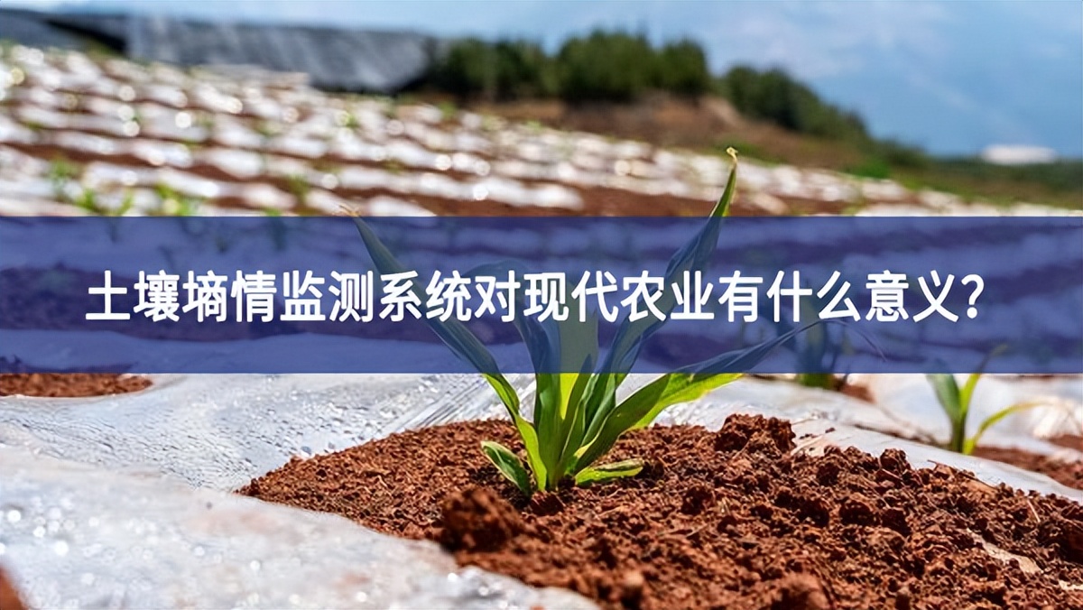 土壤墑情監測系統對現代農業有什么意義? 土壤墑情監測系統對現代農業有什么意義?
