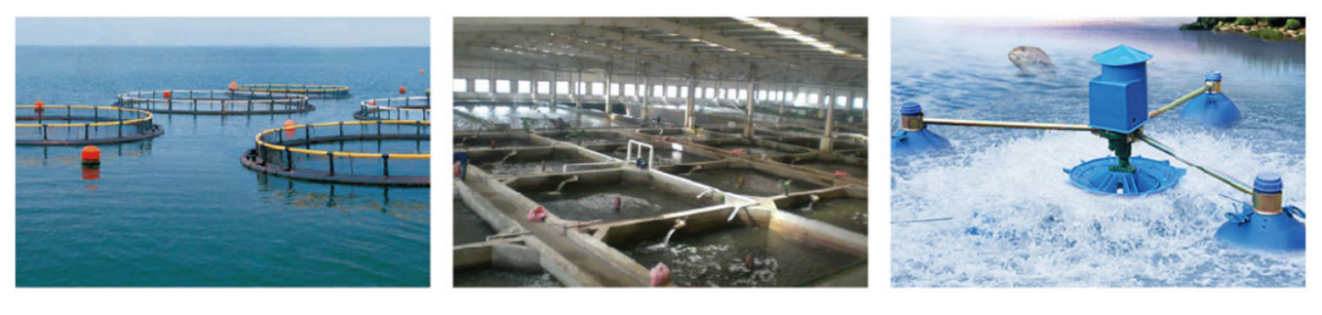 營業(yè)范圍 營業(yè)范圍