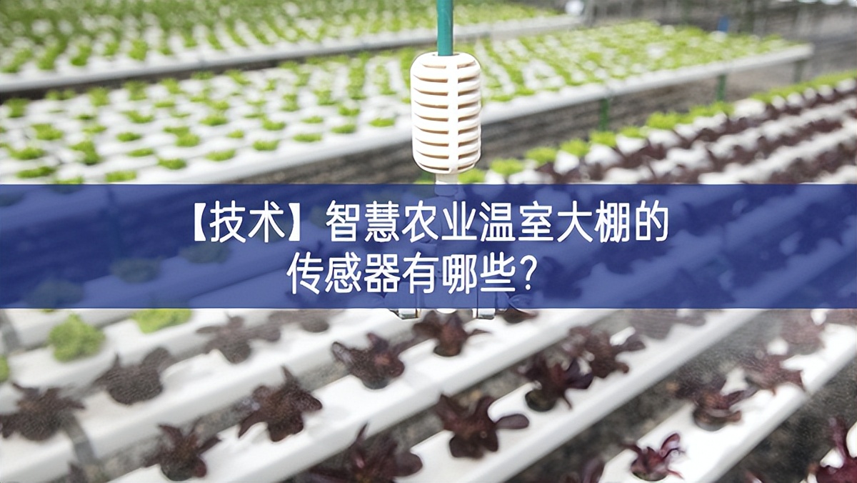【技術】智慧農業溫室大棚的傳感器有哪些?
