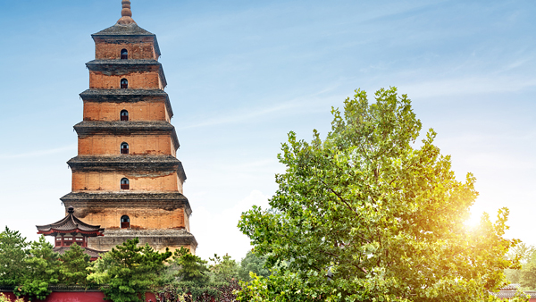 使用可持續建筑技術推動變革