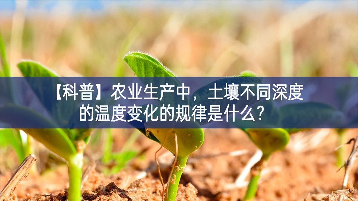 【科普】農業生產中，土壤不同深度的溫度變化的規律是什么？