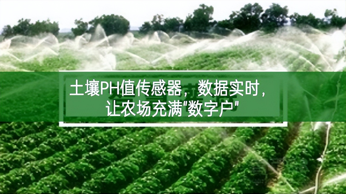 土壤PH值傳感器，數(shù)據(jù)實時，讓農(nóng)場充滿"數(shù)字戶"