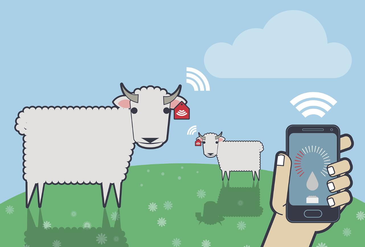 物聯網如何保證食品安全?