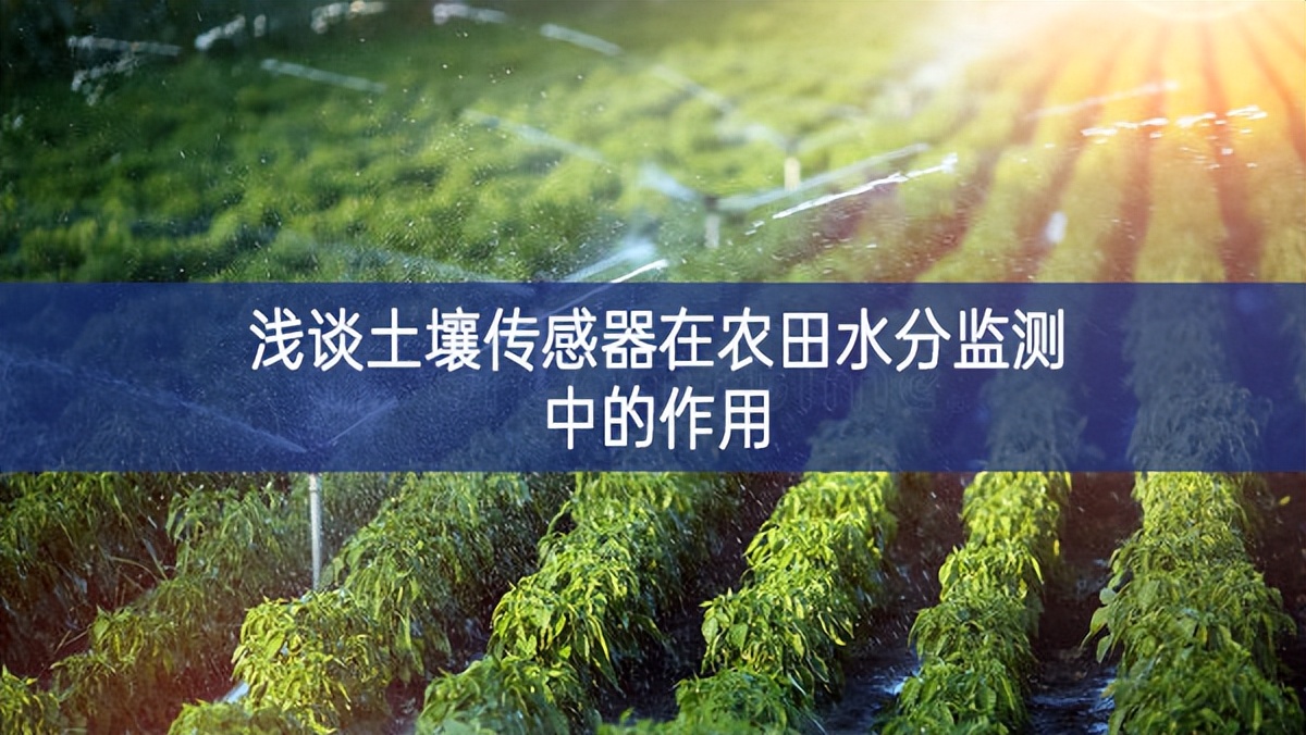 淺談土壤傳感器在農(nóng)田水分監(jiān)測(cè)中的作用 淺談土壤傳感器在農(nóng)田水分監(jiān)測(cè)中的作用