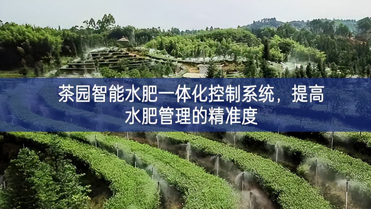 茶園智能水肥一體化控制系統(tǒng)，提高水肥管理的精準度
