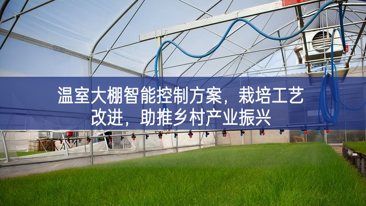 溫室大棚智能控制方案，栽培工藝改進，助推鄉村產業振興
