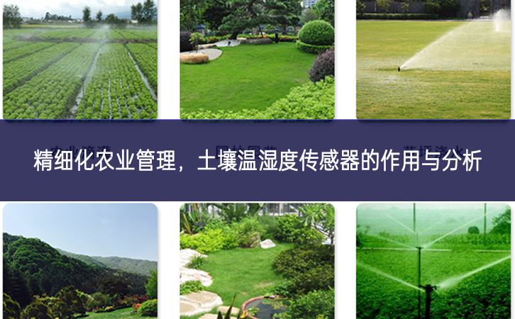 精細(xì)化農(nóng)業(yè)管理,土壤溫濕度傳感器的作用與分析 精細(xì)化農(nóng)業(yè)管理,土壤溫濕度傳感器的作用與分析