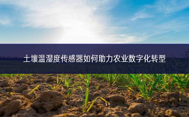 土壤溫濕度傳感器如何助力農業數字化轉型