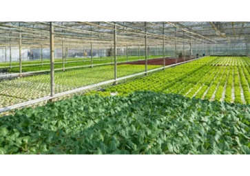 2022年現階段智能溫室發展趨勢如何？