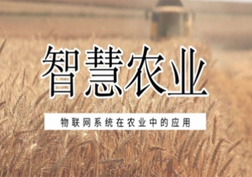 智慧農業常用的七款傳感器