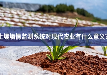 土壤墑情監測系統對現代農業有什么意義？