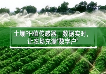 土壤PH值傳感器，數據實時，讓農場充滿"數字戶"