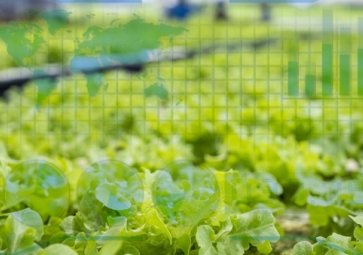 生成式人工智能在農業中的應用