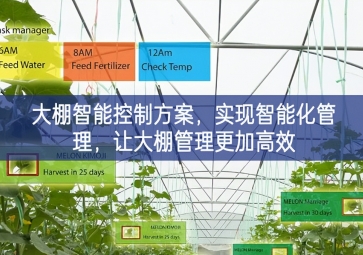 「智慧農業」大棚智能控制方案,實現智能化管理，讓大棚管理更加高效 