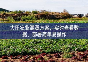 「智慧農(nóng)業(yè)」大田農(nóng)業(yè)灌溉方案，實(shí)時查看數(shù)據(jù)，部署簡單易操作