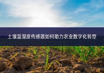 土壤溫濕度傳感器如何助力農業數字化轉型