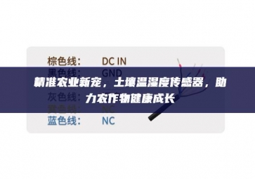 精準農業新寵，土壤溫濕度傳感器，助力農作物健康成長