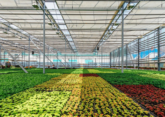 薄膜連棟溫室大棚監控系統 薄膜連棟溫室大棚監控系統