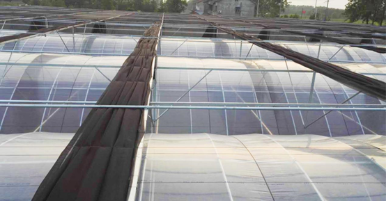 薄膜連棟溫室大棚監控系統 薄膜連棟溫室大棚監控系統