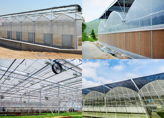 薄膜連棟溫室大棚監控系統 薄膜連棟溫室大棚監控系統